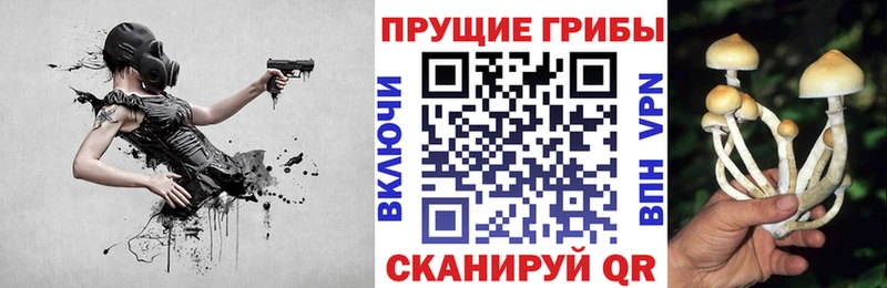Галлюциногенные грибы ЛСД  Плавск 